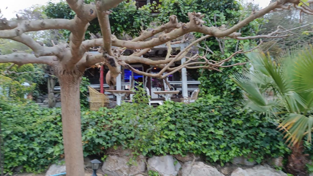 Mare Maravella Costa Brava Nature Tordera Dış mekan fotoğraf